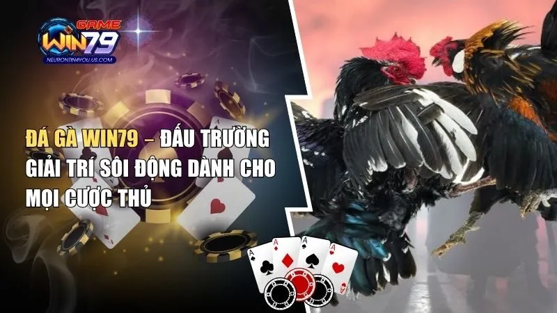 da ga win79 đá gà
