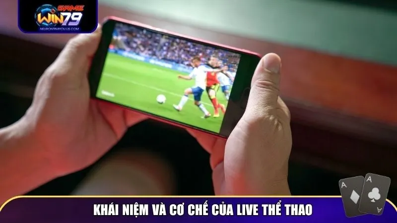 live the thao 1 Live thể thao thịnh hành hơn trong thời điểm hiện nay